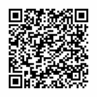 QR Code für Museumsnacht Zwickau